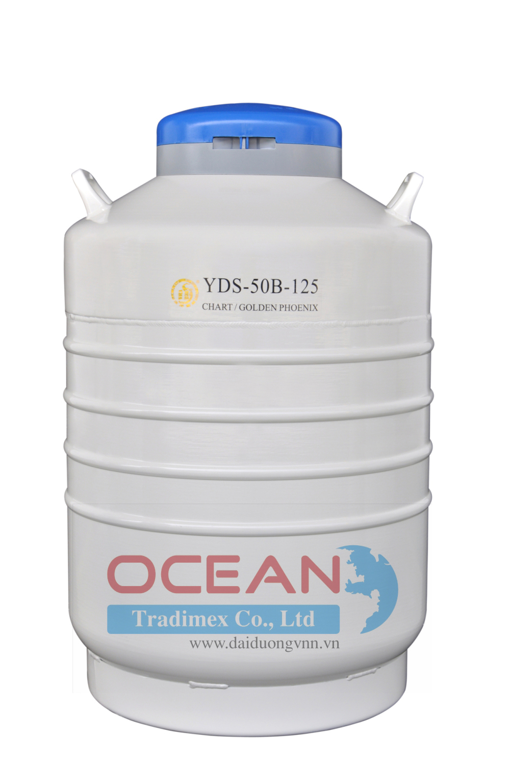 Bình Chứa Ni-tơ Lỏng YDS-50B-125